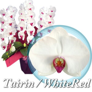 y͂z Ӓ 3{  41ֈȏ  ACj JXj ړ]j JƏj J@j  I M j j j j Vzj Mtg Nj wZ  v[g  A