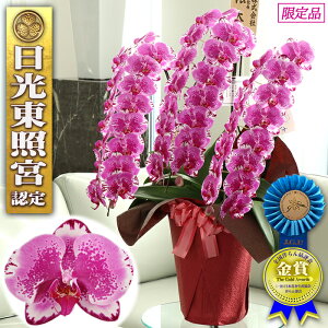 y͂z Ӓ 3{  45ֈȏ ACj IWiJ[ bhCI j j  M JXj J@j JƏj Vzj JX N j ړ]j  M