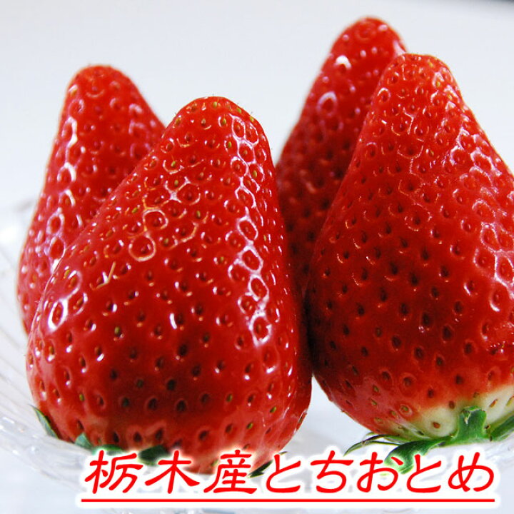 楽天市場 ドライフルーツ いちご とちおとめ 約25g イチゴ 栃木県産 送料無料 無添加 砂糖不使用 国産 乾物 乾燥 高級 ドライ フルーツ 苺 ストロベリー 高糖度 果物 くだもの ナチュラル ギフト プレゼント ワイン おつまみ 買い回り お買い物マラソン 食料 備蓄 トチギ