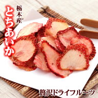 ドライフルーツ いちご とちあいか使用 無添加 砂糖不使用 イチゴ ギフト お菓子 ドライいちご 国産 乾物…