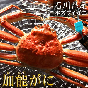 ΐ쌧 \o   {YCKj \I 1t 500g`600g 700g`800g 800g`900g p {C Y Y I IX \Kj  Jj ΐ Yn Mtg Ε Ε  i  I݂ I