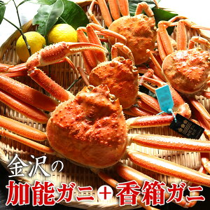 󏭂߂IZbg ΐ쌧 {YCKj \I1t×I(XI) 3tv4t Hה Zbg k \Kj Kj  ΐ  Mtg Ε Ε   Y