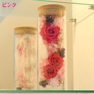 zRtȂ ͂Ȃ  RN{gt[ vU[uht[  ̓ v[g Mtg  sN bh CG[ u[ oCIbg   t[A