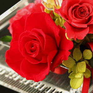 S3F vU[uht[ o  ԑ × sAm ̓ v[g ͂Ȃ  Mtg 蕨  P[X u[[Y KN sN   t[AWg ԈȊO Ce