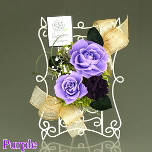 S3F o t[ vU[uht[ ͂Ȃ  [XC[ LaceWire ̓ v[g Mtg a   F KN  t[AWg JXj j ԑ h