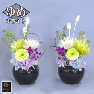 ͂Ȃ  2 1 Zbg  vU[uht[      䋟 d ފ  Mtg  r  l\  dp 䕧O ~ V~ ~