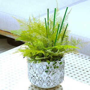 ϗtA tFCNO[ y AW V_[|bg vU[uh vU[uht[  u IuWF  Mtg  A[eBtBVt[ lHϗtA