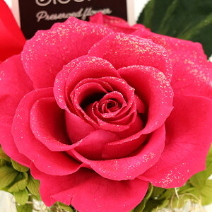 Iׂ6F  o vU[uht[   F  ̓ v[g ͂Ȃ  60 Mtg a KN  AWg JXj j ԑ hCt[ CeA 