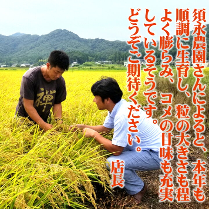 楽天市場】＼令和7年産／ コシヒカリ 栃木県 名水百選の湧き水使用 5kg 