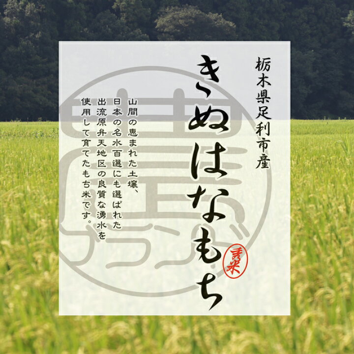 楽天市場】もち米 糯米 餅米 きぬはなもち 5キロ 10キロ モチ米 2025 栃木県産保有米 きぬはなモチ もち米 2025年産10Kg