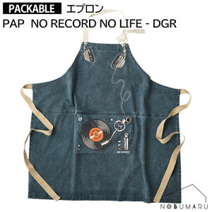 y[֑zPAPGv NO RECOR NO LIFE DGR 4573619382196 AhpbJu  Ǝ  K[fjO | eNmvC