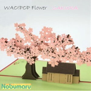 y[ z[PAV314]WAO!POP SAKURA 3D POP UPJ[h @ׂȃJbeBO [U[ p[c A[g d| ̊ I[ig 360° ӏ bZ[W    i TN t