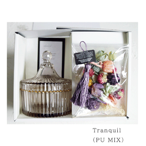 yzBOUTE {Ee KXW[|vZbg MtgZbg  hCt[ v[g a ̓ CeA IV tOX A}   O[oA[