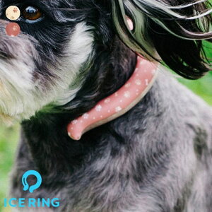 y[֑zybgp ICE RINGiACXOjySSEXSzN[ ΍ MǑ΍ Ђ JԂg oϓI   U AEghA tFX Mtg v[g 
