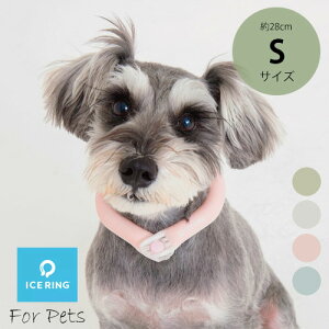 y[֑zʉiybgp ICE RINGiACXOj {^tySzRXXF؎擾 AR̖ N[ ΍ MǑ΍ Ђ oϓI   U AE