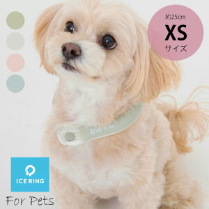 y[֑zʉiybgp ICE RINGiACXOj {^tyXSzRXXF؎擾 AR̖ N[ ΍ MǑ΍ Ђ oϓI   U AE