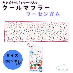 y2_ȏ㓯wŃ[֑zN[}t[ t[ZK JritpbP[W ⊴ p MǑ΍ ΍  N[^I WFCYvjO CLM0010