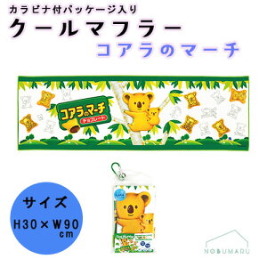 y2_ȏ㓯wŃ[֑zN[}t[ RÃ}[`rXPbg JritpbP[W ⊴ p MǑ΍ ΍  N[^I WFCYvjO CLM0016