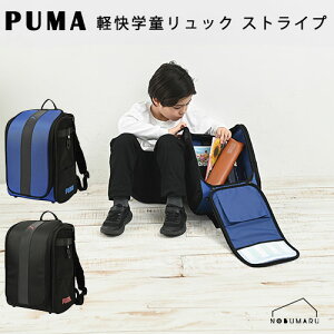 �y���������zPM529 PUMA �y���w�������b�N�X�g���C�v �����h�Z���u���[ �u���b�N ���������b�N �v�[�} ���w �ʊw ���w�� ���w�j��