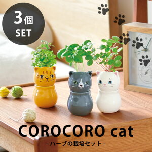 yzGD-1026 COROCOROcat 3Zbg RRLbg n[u ͔|Zbg L V|
