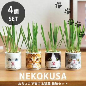 【送料無料】GD-1029 おちょこで猫草4個セット 猫 健康 栽培セット 聖新陶芸
