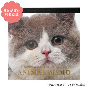 y[ * Ώۏi3,000ȏゲwőzAj} n`lR[T9019]@1@ށ@@G݁@܂Ƃߔ@@킢