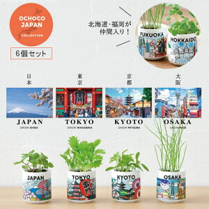 yzGD997 ł傱JAPAN 6Zbg ͔|Zbg /s//kC/ /킳э/Ot/˂//~g/ɂ ~j { 킢   Lb` ȒP 