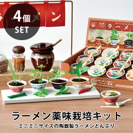 【送料無料】GD-1059 ラーメン薬味栽培キット 4個セット ミニミニサイズ ミニチュア ネギ 三つ葉 チンゲ…