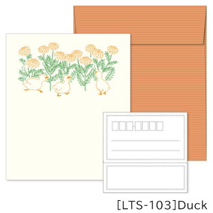 y[ * Ώۏi3,000ȏゲwőzPETIT ET GRAND veBEGEO^[Zbg ň GR~[