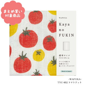 y[ * Ώۏi3,000ȏゲwőẑӂ WTCY [TYC-852]g}ghbg KAYA no Fukin@WAFUKA z Lb` 炩 z z 킢  v`Mt