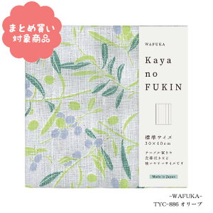 y[ * Ώۏi3,000ȏゲwőẑӂ WTCY [TYC-886]I[u KAYA no Fukin@WAFUKA z Lb` 炩 z z 킢  v`Mtg 