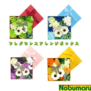 yztOX{bNXAW BOX t[AW oXtOX  oXy^ Mtg ̓ a 搶  w CeA C A