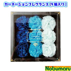 yzJ[l[VtOX[9֓] oXtOX  oXy^ Mtg ̓ a 搶  w CeA C A