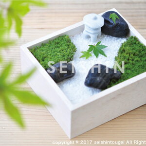 yz[GD719]ۖ~ ڂ ے뉀 Lbg  AW  { MOSS ~i  ~ |p