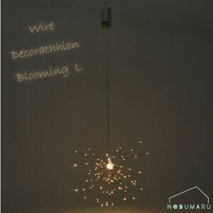 LEDCg Wire Decoration Blooming L C[fR[Vu[~OL S[h Vo[ LED Q  킢 drʔ pRt _