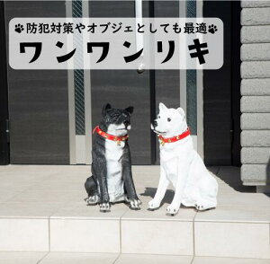 yz L zCg ubN Ԍ h ΍ IuWF CeA ZT[  g  A v[g Ƒ Fl J