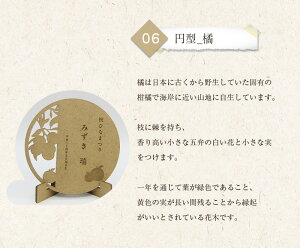  I[_[  ANt[ ߋ O   D ĎD ЂȍՂ j̎q ̎q O   QA[gg ̏d  킢 QA[g Ce