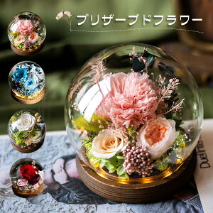 �v���U�[�u�h�t�����[ �J�[�l�[�V���� �K�N �K���X�h�[�� �v���[���g �����L�O�� �� �o�� �i���̉� �h���C�t�����[ ���[�Y �h�[�� led���C�g �P�[�X���� �͂�Ȃ��� �A�����W ���b�s���O�ς�