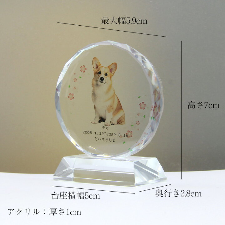楽天市場】【名入れ無料】透明 ペット フォトプレート メモリアル 