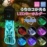 名入れ 刻印 キーホルダー 迷子札 光る お散歩ライト ペットネームタグ LED 60種の犬シルエット USB充電 …
