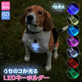 名入れ 刻印 キーホルダー 迷子札 光る お散歩ライト ペットネームタグ LED 60種の犬シルエット USB充電 ペット 犬 リード 首輪 ペンダント おしゃれ ライト お散歩 かわいい ネームプレート 名札 ledog ギフト プレゼント アクリル かばん リュック デザイン