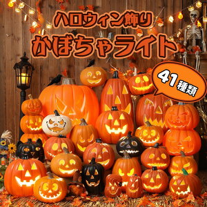 nEB ^ LED Cg   ڂ ^ C~l[V ڂჂ`[t p[eB Cxg ObY ~ ObY  Ɩ   O   