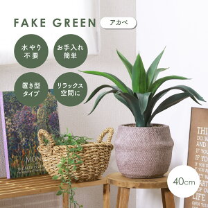 y5ʁ10%OFFN[|z tFCNO[ AJx yz ϗtA  nMO  u^  CeA   t A