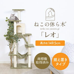 tFCNO[t Lbg^[ u^ yz X   Vv ܂Ƃ Bƕt ؐ Ki