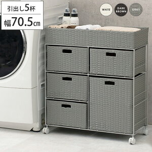 y10聚5%OFFN[|z ʏ h[`FXg o5t^Cv i 70.5 h[[ bN oXPbg h[S LX^[t ^