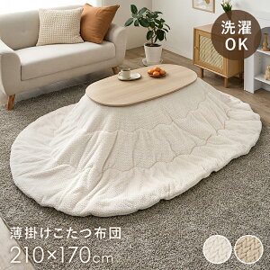 y305%OFFN[|z ȉ~`p |zc 210×170cm yz zc tl  킢 I[o  | Vv 􂦂