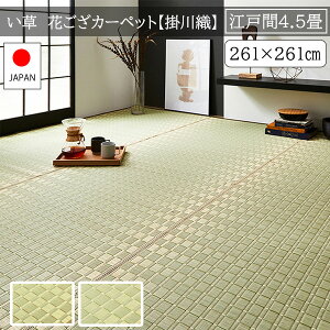 ]ˊ 4.5 ~ 261×261 a O}bg ~ Y Ԃ  {   ėp J[ybg O