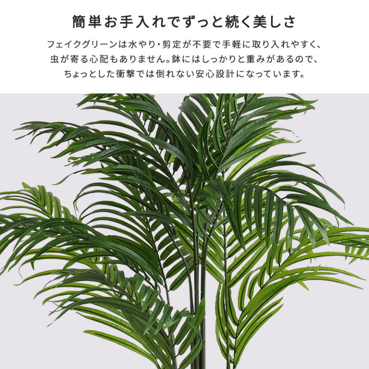 楽天市場】風水 「良縁」 アレカヤシ フェイクグリーン Lサイズ 180cm 