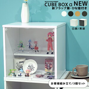 カラーボックス 扉 透明の人気商品 通販 価格比較 価格 Com