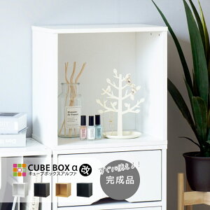 y1聚5%OFFN[|z yiz L[u{bNX  I[v ` J[{bNX Vv ؐ [I zCg ubN   i` uE